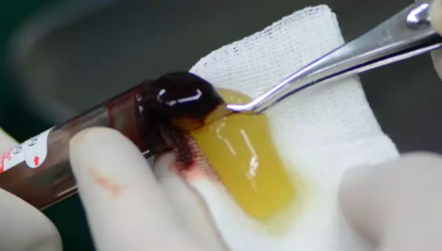 圖片2.png 圖片2.png